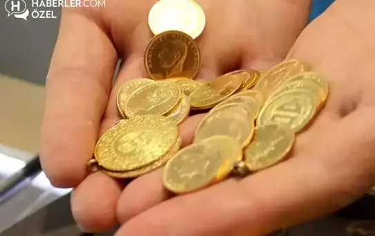 Ekonomist Prof. Dr. Seyfettin Erdoğan: Önümüzdeki 1 yıl içinde altında yükseliş trendi sürecek