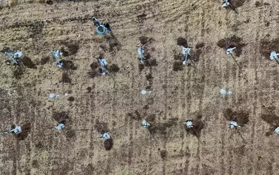 Mardin'de Atıl Araziler Modern Bağcılıkla Değerlendiriliyor