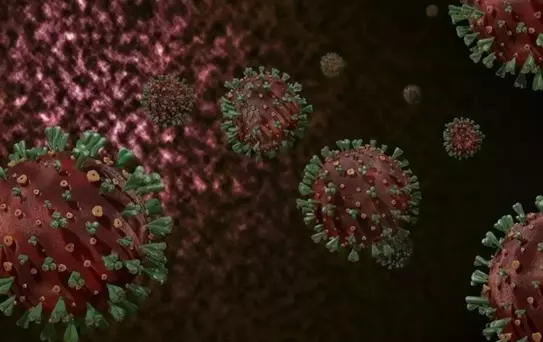 DSÖ'den M çiçeği uyarısı: Kıtayı aştı, hızla kontrol altına alınmalı