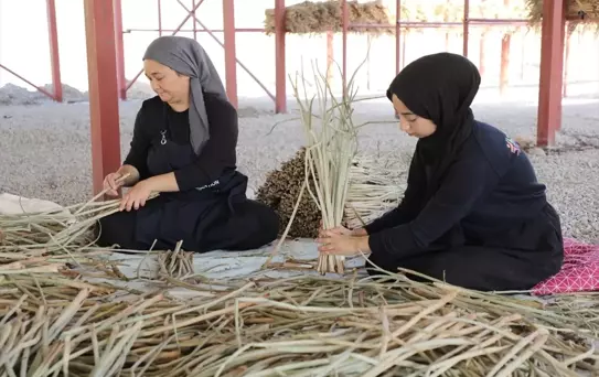 Su Sümbülleri Kadınların Ekonomisine Katkı Sağlıyor