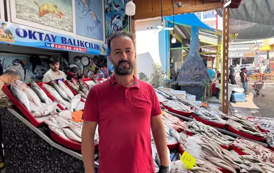 Dörtyol'da Köpek Balığı Heyecanı