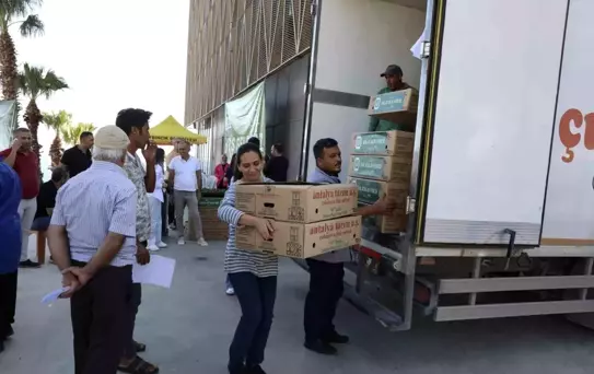 Mersin Büyükşehir Belediyesi'nden Aydıncık'taki Üreticilere Fide Desteği