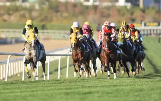 At Yarışlarında Muhteşem Final