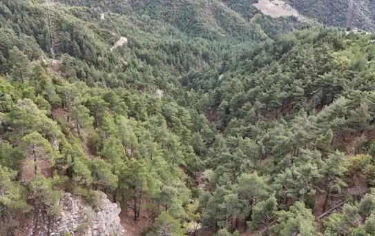 Kahramanmaraş'ta Kaybolan Genç Bulundu