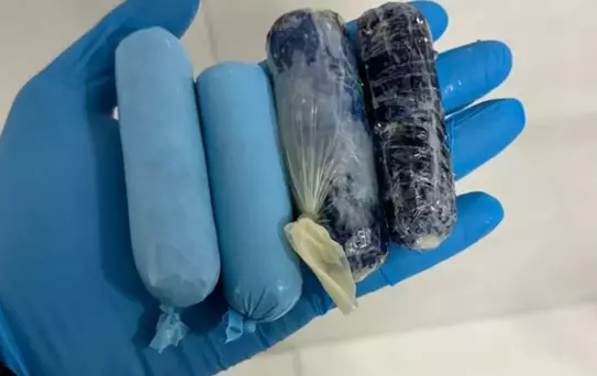 Iğdır'da Uyuşturucu İle Yakalanan Şahıs Tutuklandı