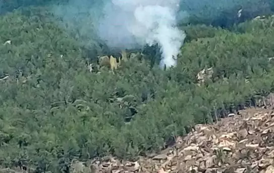 Muğla'nın Kavaklıdere ilçesinde orman yangını