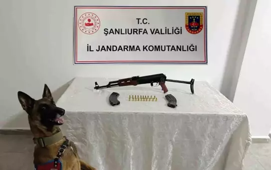 Şanlıurfa'da Silah Operasyonu