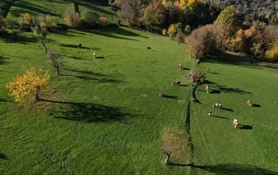 Küre Dağları'nda Sonbahar Güzelliği