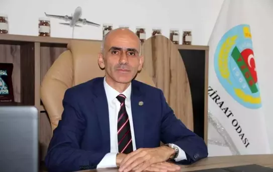 Fındık Fiyatları İçin TMO'ya Güncelleme Çağrısı