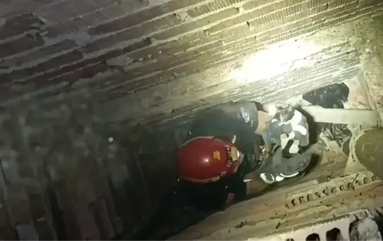 Bursa'da Yavru Kedi Kurtarıldı