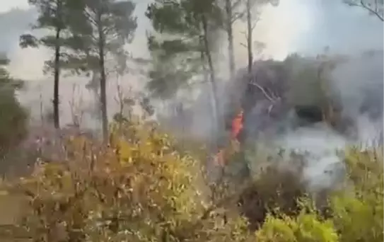 Gülnar'da Bahçede Yangın: 70 Yaşındaki Adam Hayatını Kaybetti