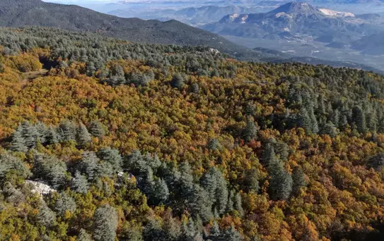 Dünyada bir tek Isparta'da var! İzinsiz girmenin cezası bir servet değerinde