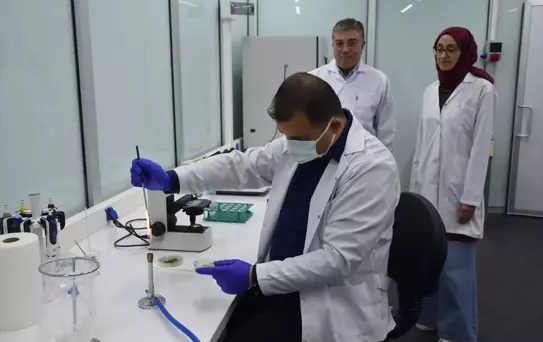 Yerli Mikotoksin Analiz Maddesi Patenti Alındı