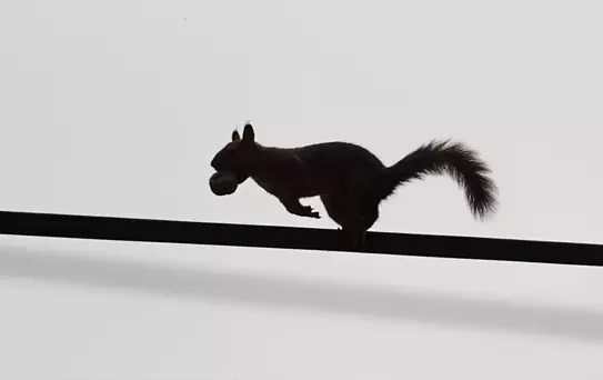 Sincaplarla Sonbahar Keyfi