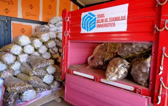 Sivas'ta Patates Türleri Araştırılıyor