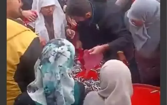 Eskişehir'de Ücretsiz Hamsi Dağıtımı