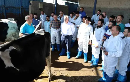 Aksaray'da Sığır Eğitimi