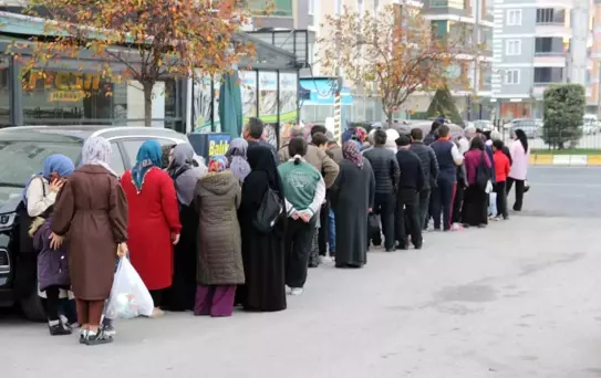 Çorum'da Hamsi Kuyruğu