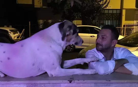 Emekli Polis Köpeği Vurdu