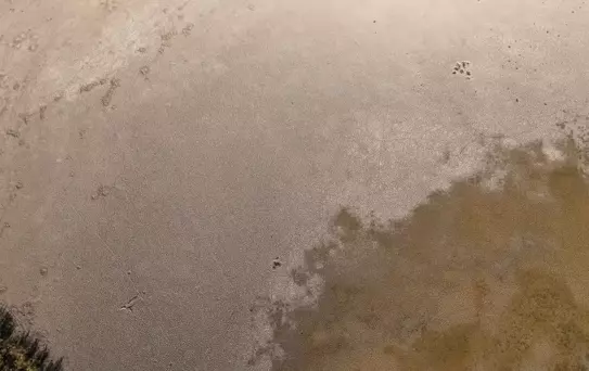 Kovada Gölü Kuruyor: Milli Park Tehdit Altında