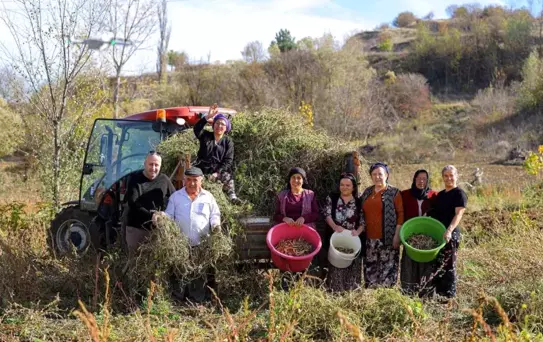 Samsun Büyükşehir Belediyesi'nden Sözleşmeli Tarım Projesi