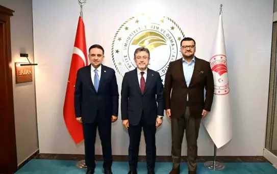 Sarıgöl Ovası'na Su Projesi