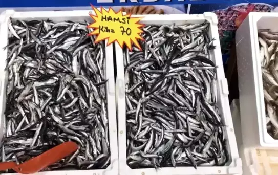 Taze Balık Tüketin Uyarısı