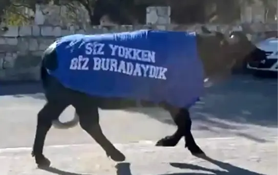 Mandalar Protesto Edildi