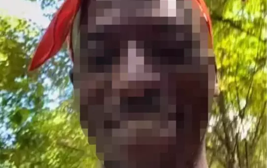 Louvre Soygununda Sosyal Medya Fenomeni Zanlı