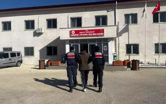 Eskişehir'de Kuzu Hırsızlığı: 3 Şüpheli Yakalandı