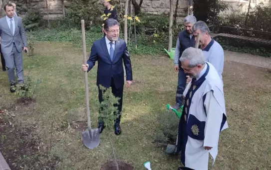 550 Milyon Fidan Hedefi