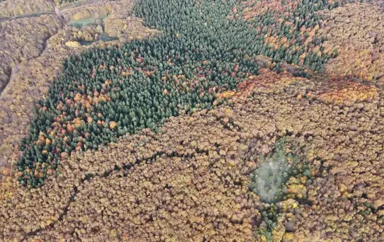 Avdan Köyü'nde Sonbahar Güzelliği