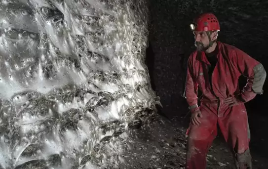 Dünyanın en büyük örümcek ağı keşfedildi