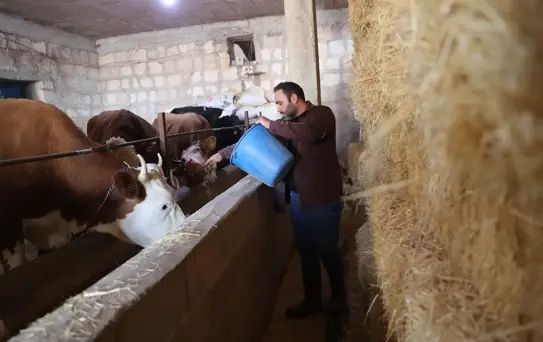 Veteriner İpek'in Süt İşletmesi Büyüyor