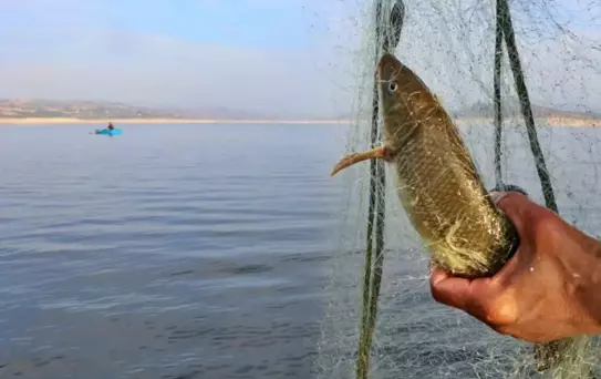 Kaçak balık avı pahalıya patladı