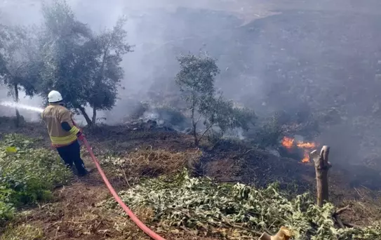 Hatay'da Bahçe Yangını Büyümeden Söndürüldü