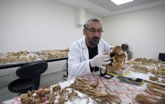 Malazgirt'teki kazılarda çıkarılan insan iskeletlerinin sırrı antropoloji laboratuvarında araştırılıyor