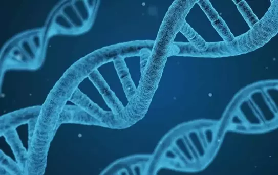 DNA'nın yapısını keşfeden Nobel ödüllü bilim insanı James Watson hayatını kaybetti