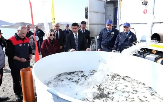 Nahçıvan'a 300 Bin Sazan Balığı Yavrusu Hibe Edildi
