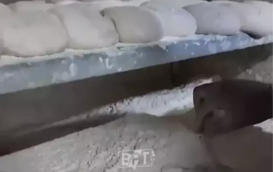 İstanbul'da ekmek fırınında mide bulandıran görüntüler