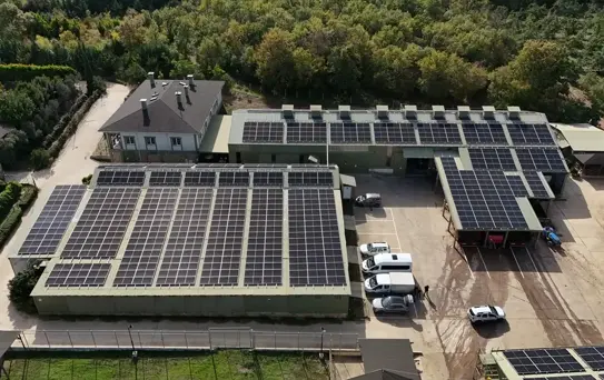 Güneş Enerjisiyle Ceviz Üretimi