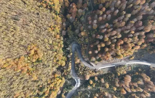 Sonbahar Renkleri Sinop'ta