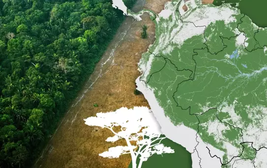 Amazon'un Geleceği Tehdit Altında