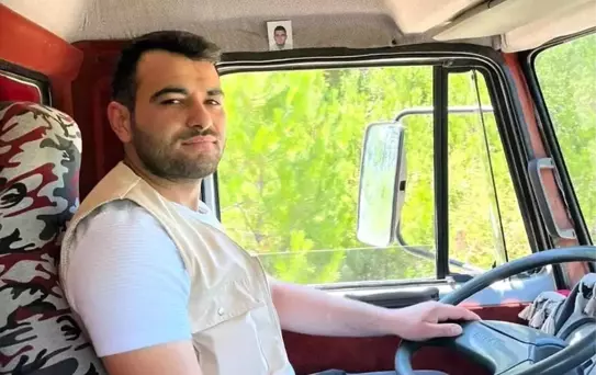 Kastamonu'da Ağaç Kesimi Faciası