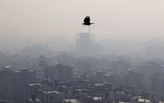 Komşu ülkede hava kirliliği nedeniyle eğitime ara verildi