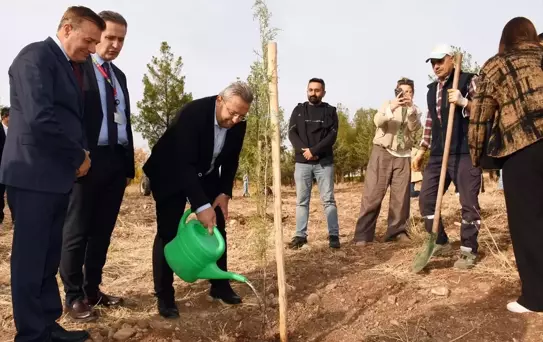 Dicle Üniversitesi'nde Fidan Dikimi Etkinliği