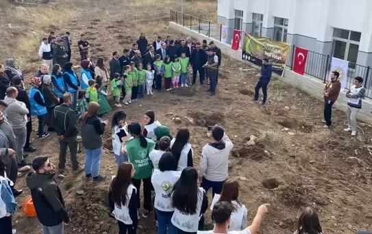 Giresun'da Fidan Dikim Etkinlikleri