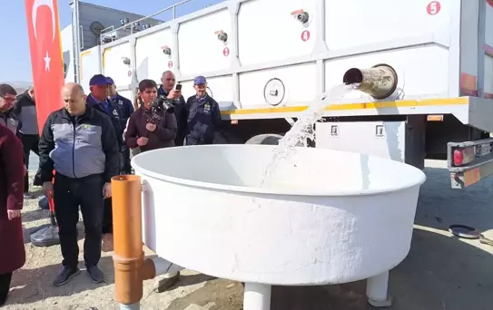 Elazığ'dan Nahçıvan'a Sazan Yavrusu Gönderildi