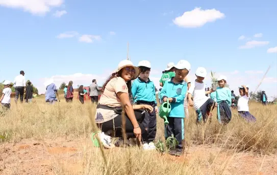 Madagaskar'da Milli Ağaçlandırma Günü'nde fidanlar toprakla buluşturuldu