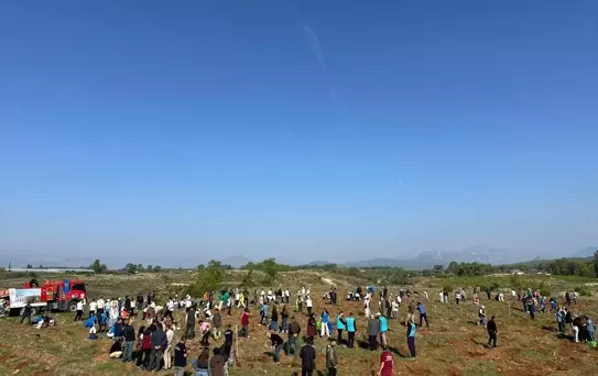 Serik'te Ağaçlandırma Etkinliği
